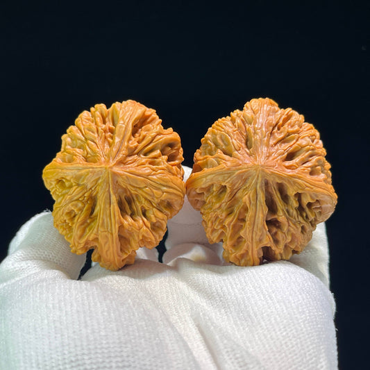 The Mythical "Nine Dragons Ridge" (Jiu Long Jin) Quad-Ridge Pair | Collector Grade | 42.0mm x 52.0mm