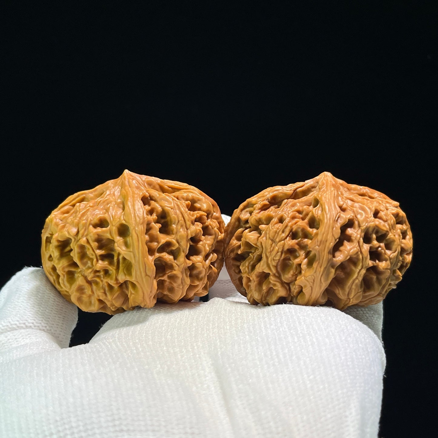 The Mythical "Nine Dragons Ridge" (Jiu Long Jin) Quad-Ridge Pair | Collector Grade | 42.0mm x 52.0mm