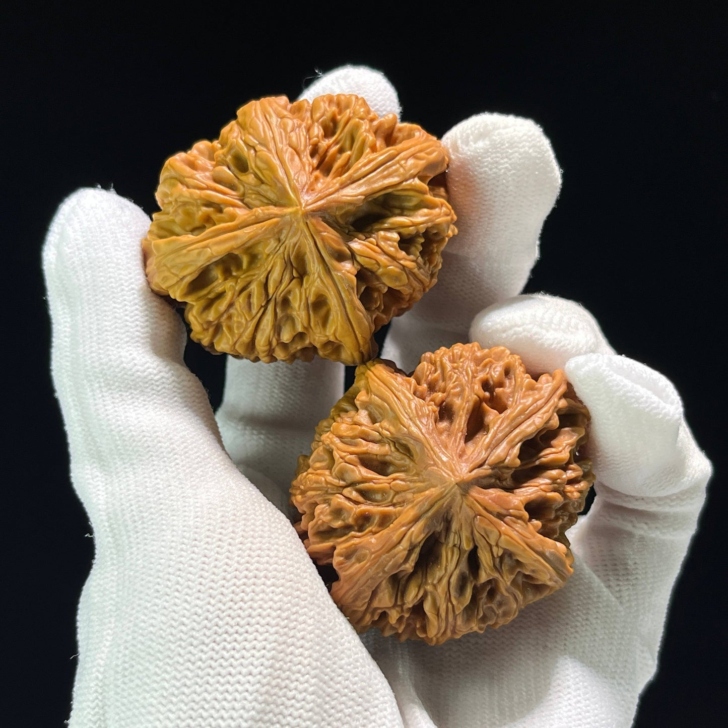 The Mythical "Nine Dragons Ridge" (Jiu Long Jin) Quad-Ridge Pair | Collector Grade | 42.0mm x 52.0mm