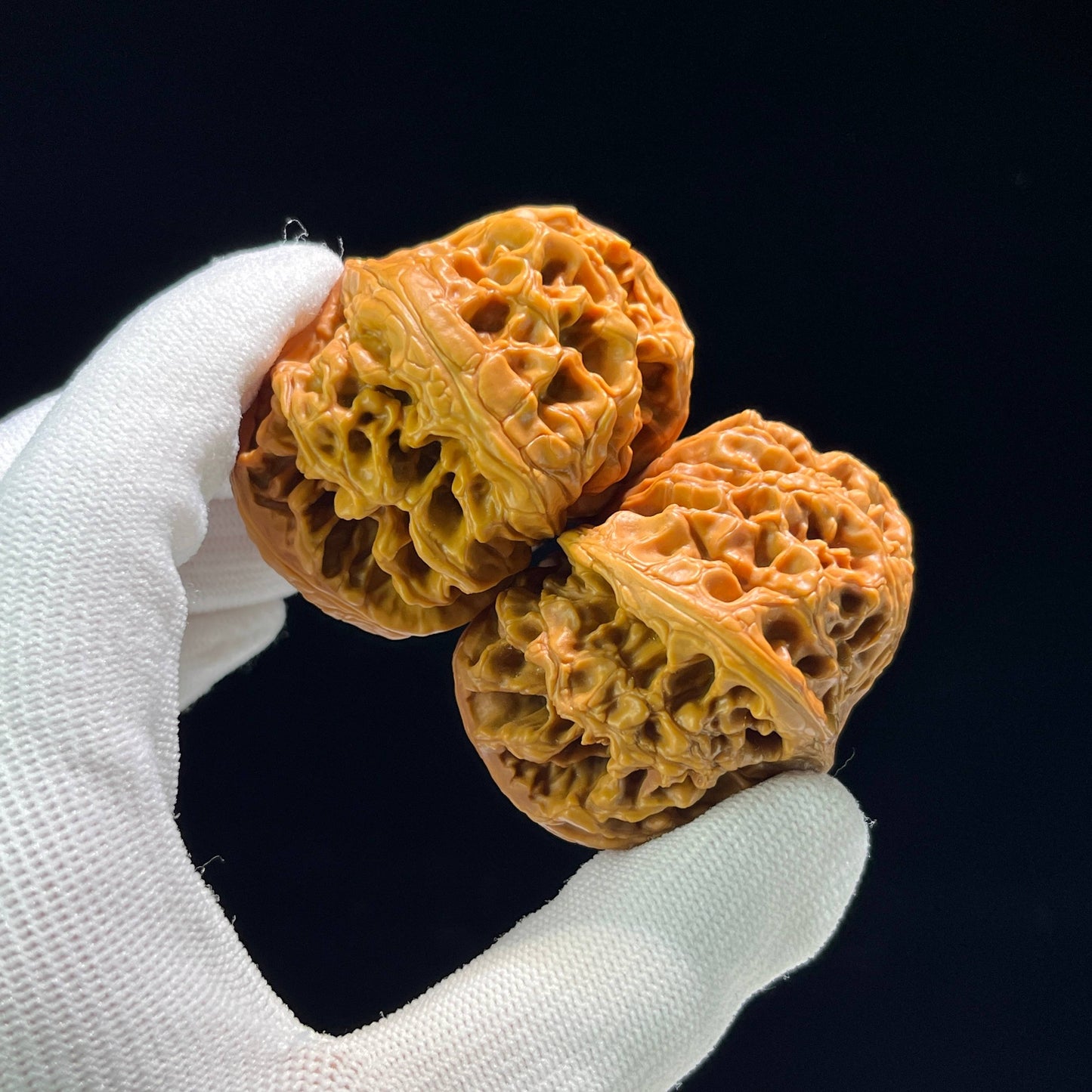 The Mythical "Nine Dragons Ridge" (Jiu Long Jin) Quad-Ridge Pair | Collector Grade | 42.0mm x 52.0mm