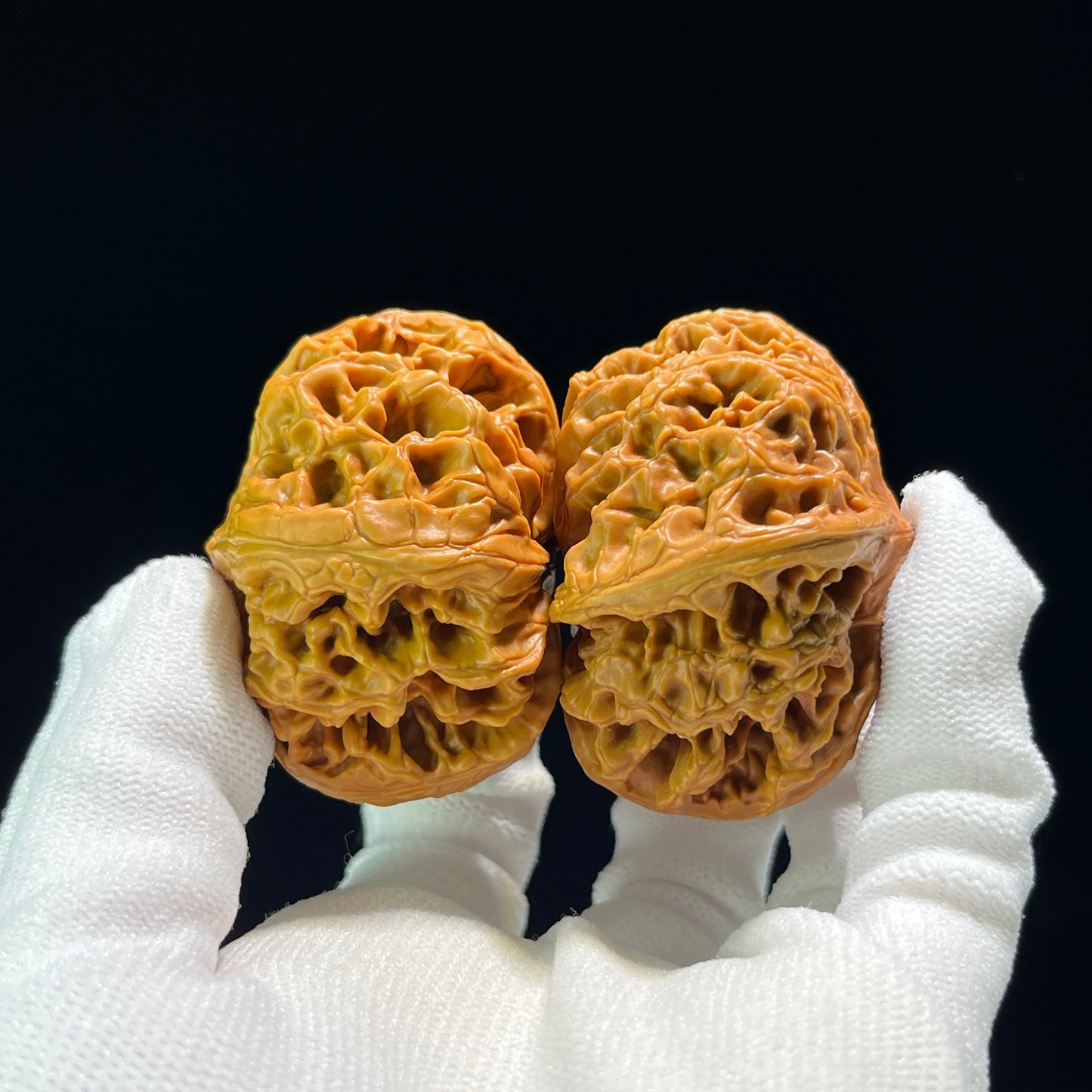 The Mythical "Nine Dragons Ridge" (Jiu Long Jin) Quad-Ridge Pair | Collector Grade | 42.0mm x 52.0mm