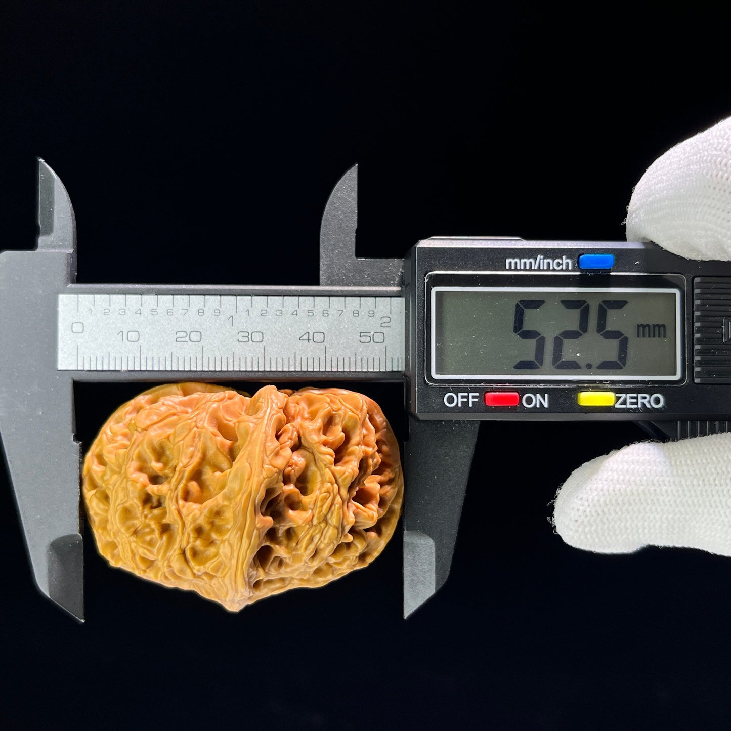 The Mythical "Nine Dragons Ridge" (Jiu Long Jin) Quad-Ridge Pair | Collector Grade | 42.0mm x 52.0mm