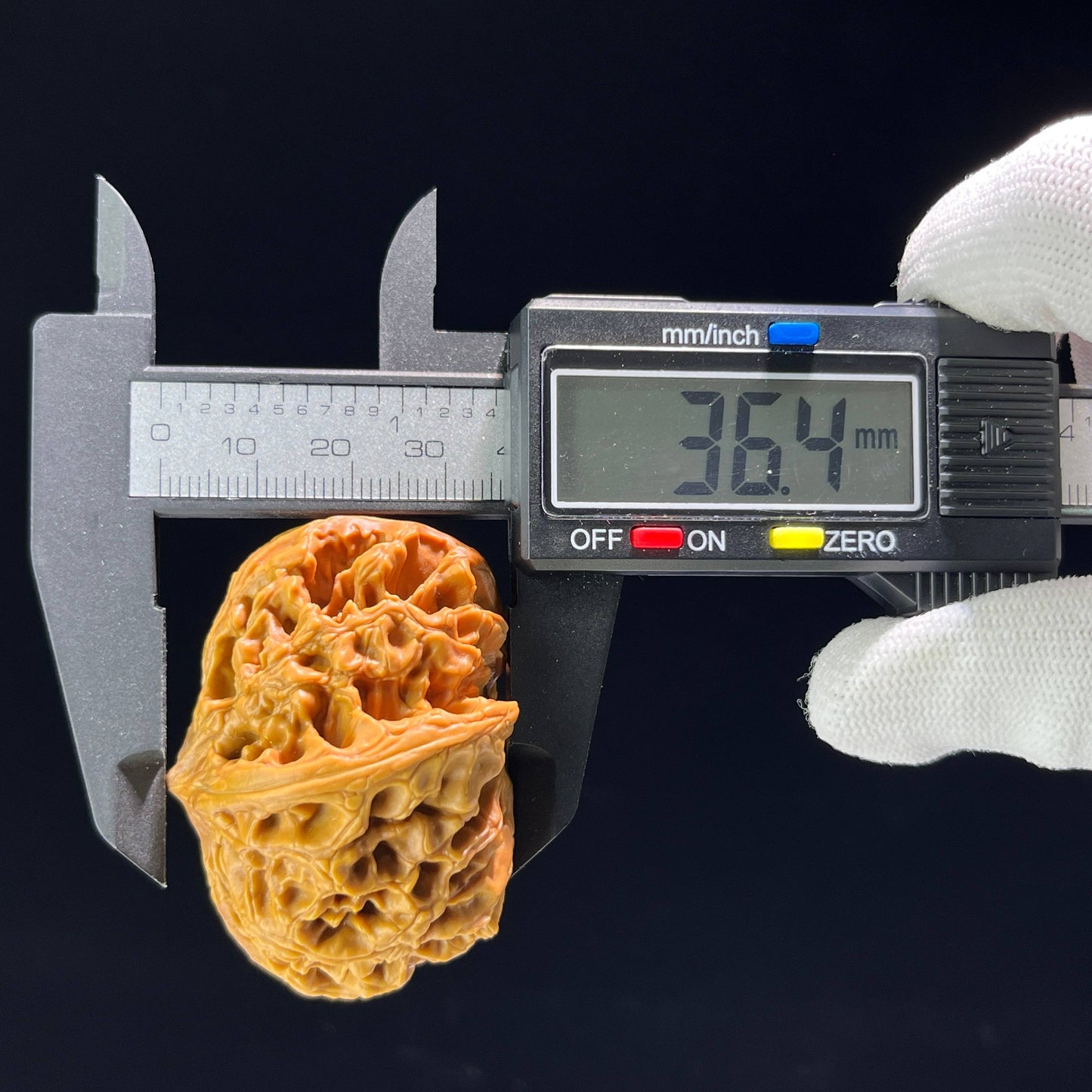 The Mythical "Nine Dragons Ridge" (Jiu Long Jin) Quad-Ridge Pair | Collector Grade | 42.0mm x 52.0mm