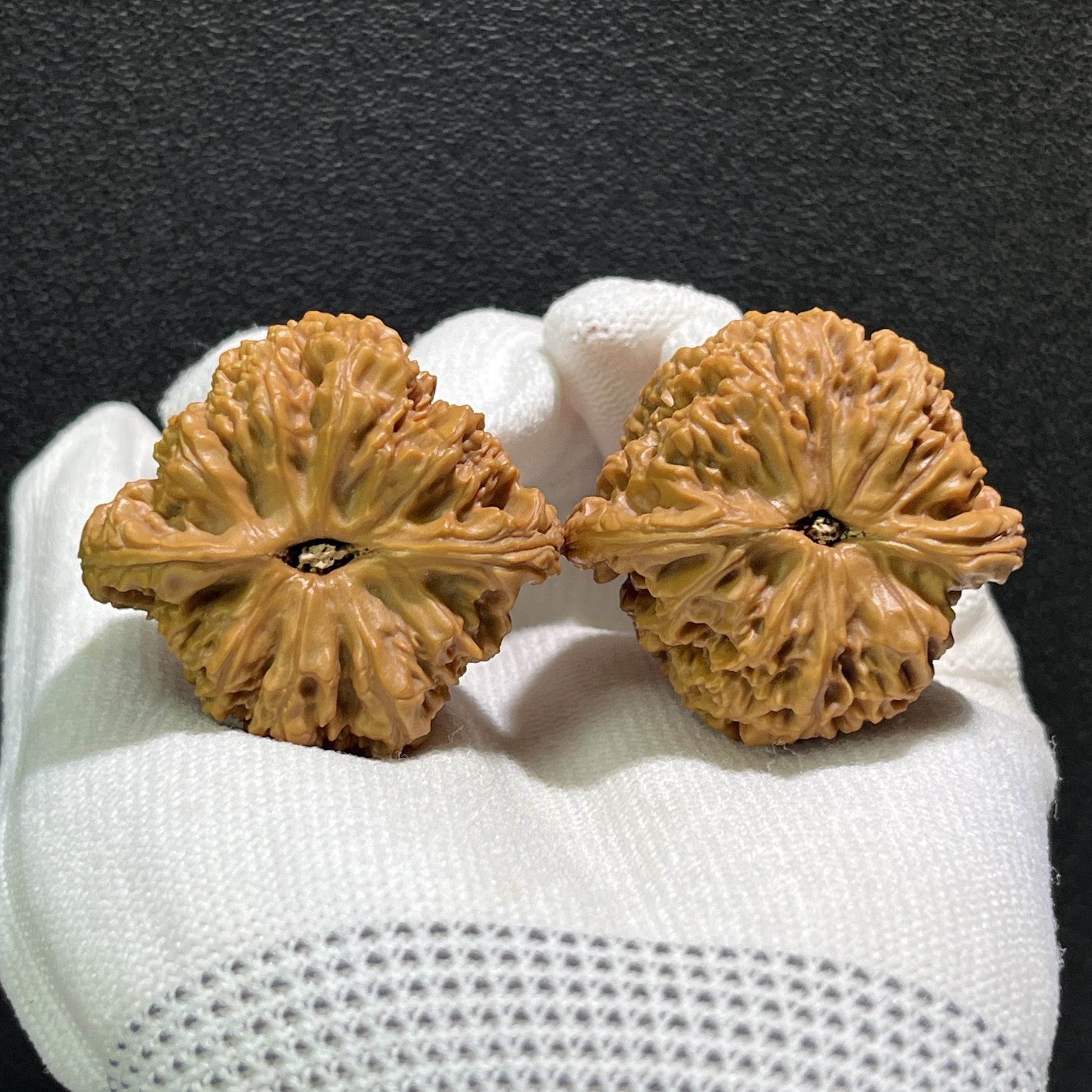 Walnut hand exerciser from ThePatinaProject, NJS-408 model, measuring 40mm by 38mm, showing textured walnut surface and ergonomic design.
