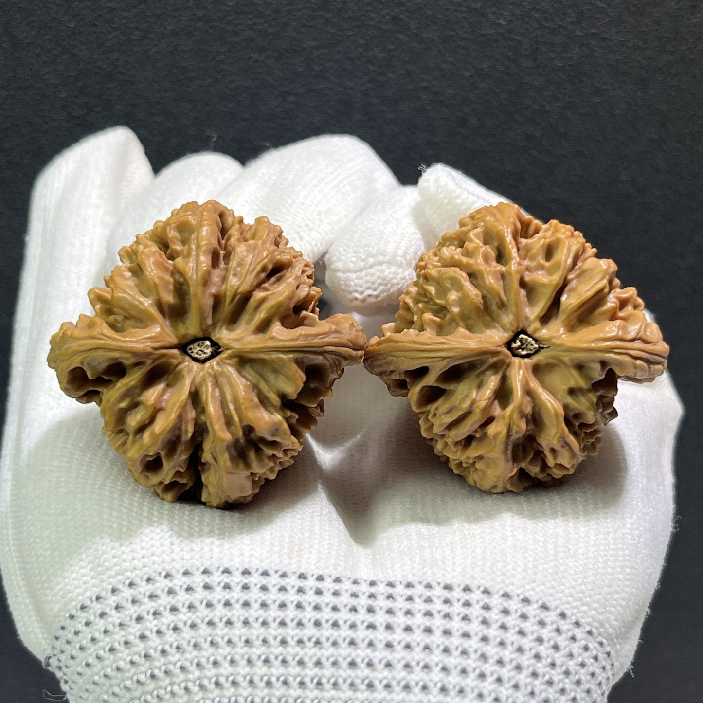 Walnut hand exercisers from ThePatinaProject, the "Nan Jiang Shi" pair, 41mm x 39mm, showing textured walnut surface and ergonomic design.