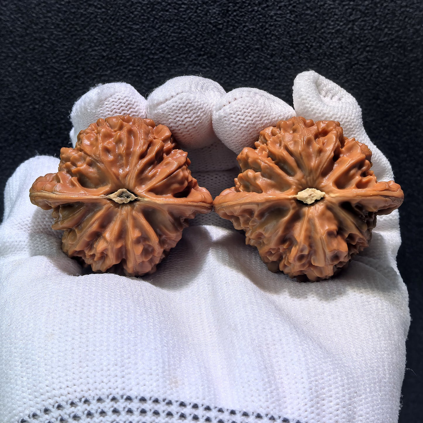 Pair of Walnut Palace Lantern hand exercisers from ThePatinaProject, boutique grade, measuring 43x39x37mm, GD-401C.