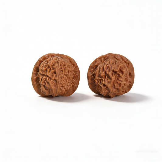 Walnut hand exerciser featuring porcelain doll design with waxy luster, 38mm collector’s pair by ThePatinaProject.