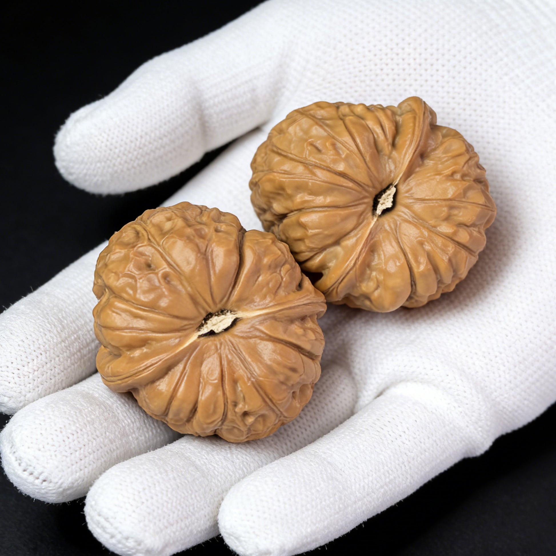 Walnut hand exerciser called Pumpkin Block by ThePatinaProject, 42mm x 44mm, showing the textured walnut surface and unique shape.