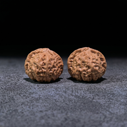 Walnut hand exercisers called Pumpkin Squat, 41mm x 43mm, designed for finger strength and grip training by ThePatinaProject