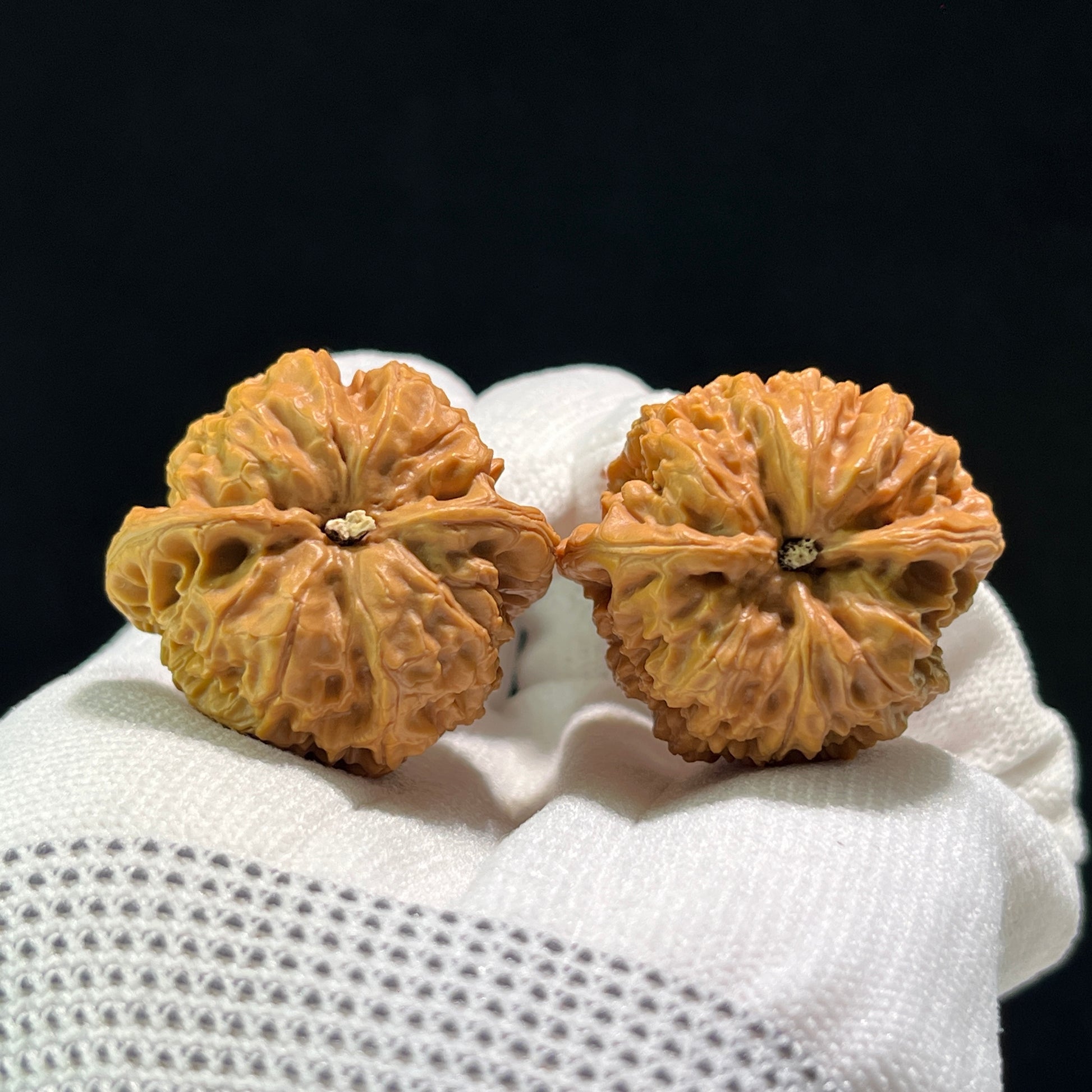 Walnut-shaped Rain Flower Pebble hand exerciser by ThePatinaProject, 34mm x 31mm, featuring intricate pebble design in natural tones