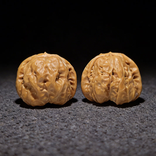 The Rare Triangle "Toad Head" Collector's Pair | 37.0mm x 37.0mm | W-804 - ThePatinaProject