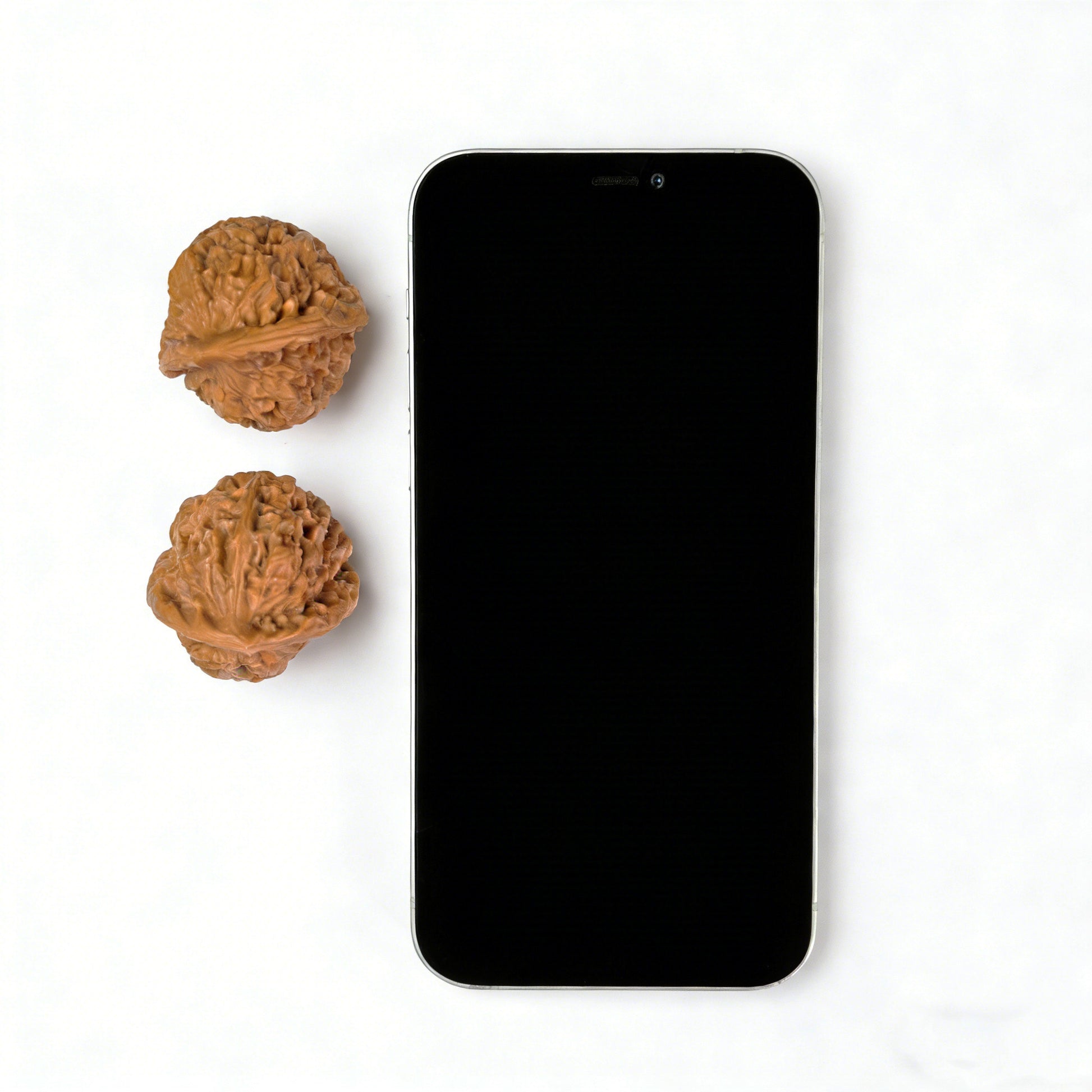 Pair of Walnut Hand Exercisers labeled "Red Square Seal" with 38mm and 43mm dimensions by ThePatinaProject.