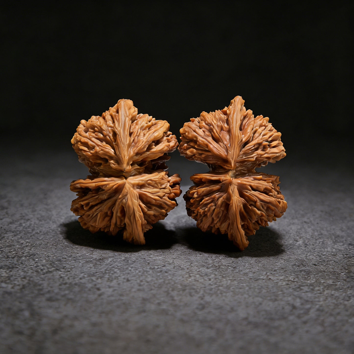 Walnut hand exerciser pair from ThePatinaProject, "Si Zuo Lou" Lian Ti conjoined twins, 58mm and 55mm collection grade.