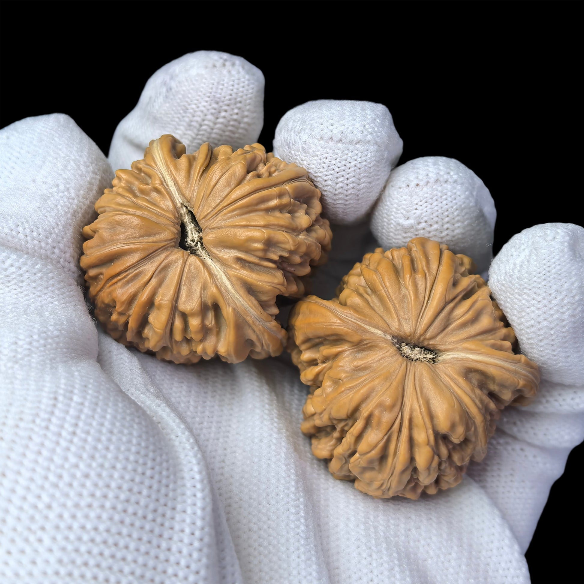 Pair of walnut hand exercisers with lion head design, 36mm, by ThePatinaProject, showcasing detailed carved lion heads on the wooden handles.