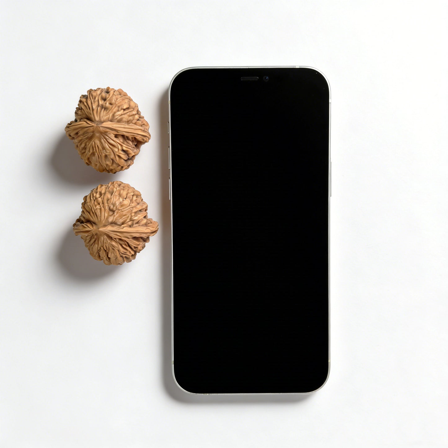 Pair of walnut lion head hand exercisers from ThePatinaProject, 36mm, featuring detailed carved lion head designs.