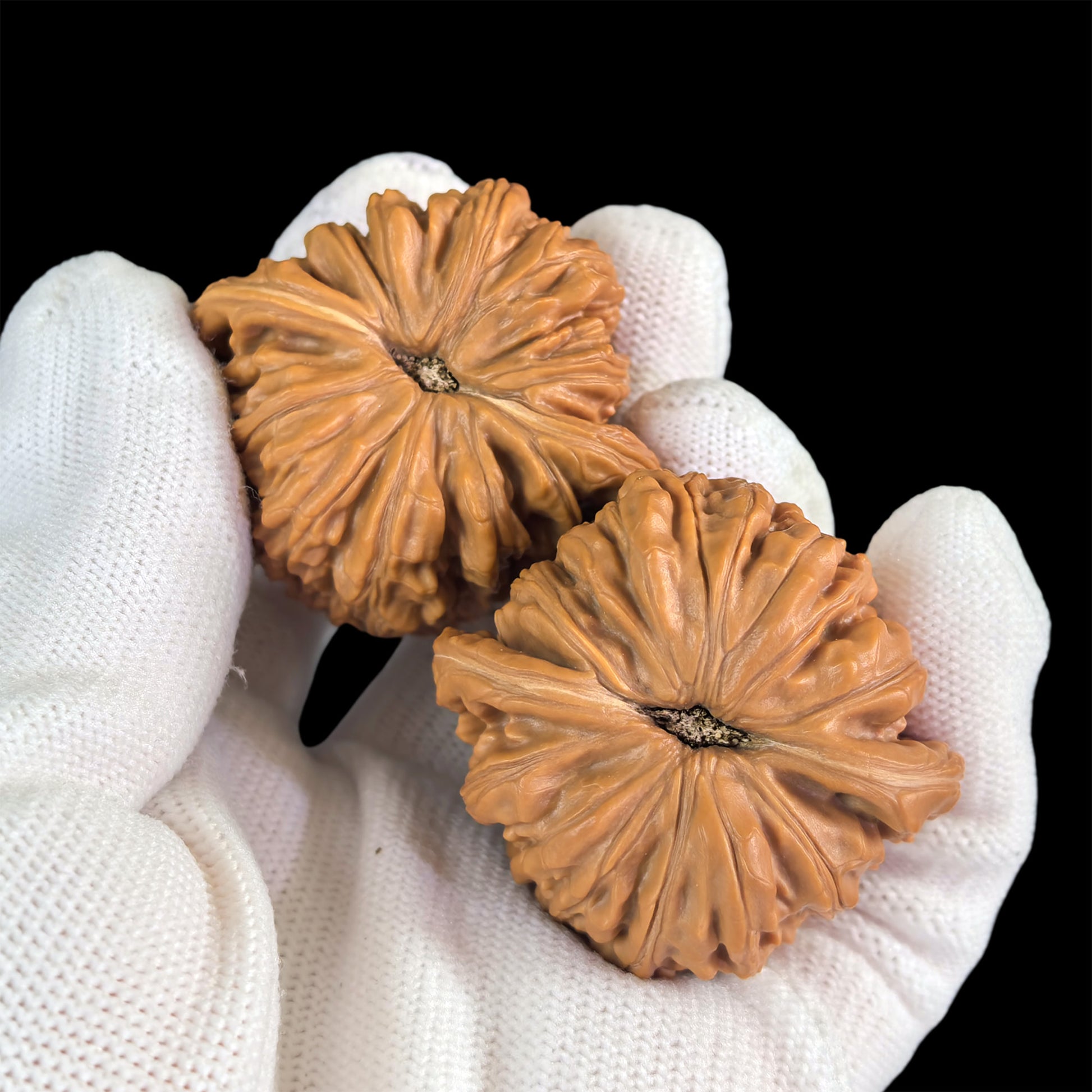 Walnut hand exercisers featuring lion head design from ThePatinaProject, 43mm x 40mm, pair of Si Zuo Lou Lion Head exercisers.