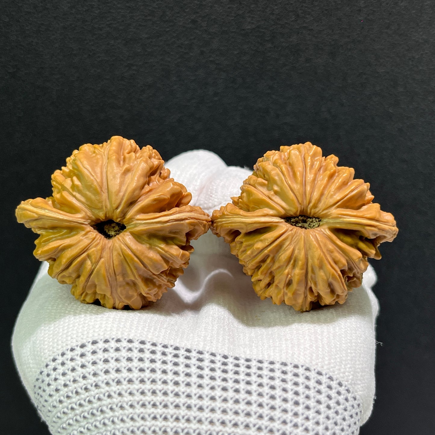 Pair of walnut lion's head hand exercisers from ThePatinaProject, 43mm x 40mm, featuring detailed carved lion head designs.