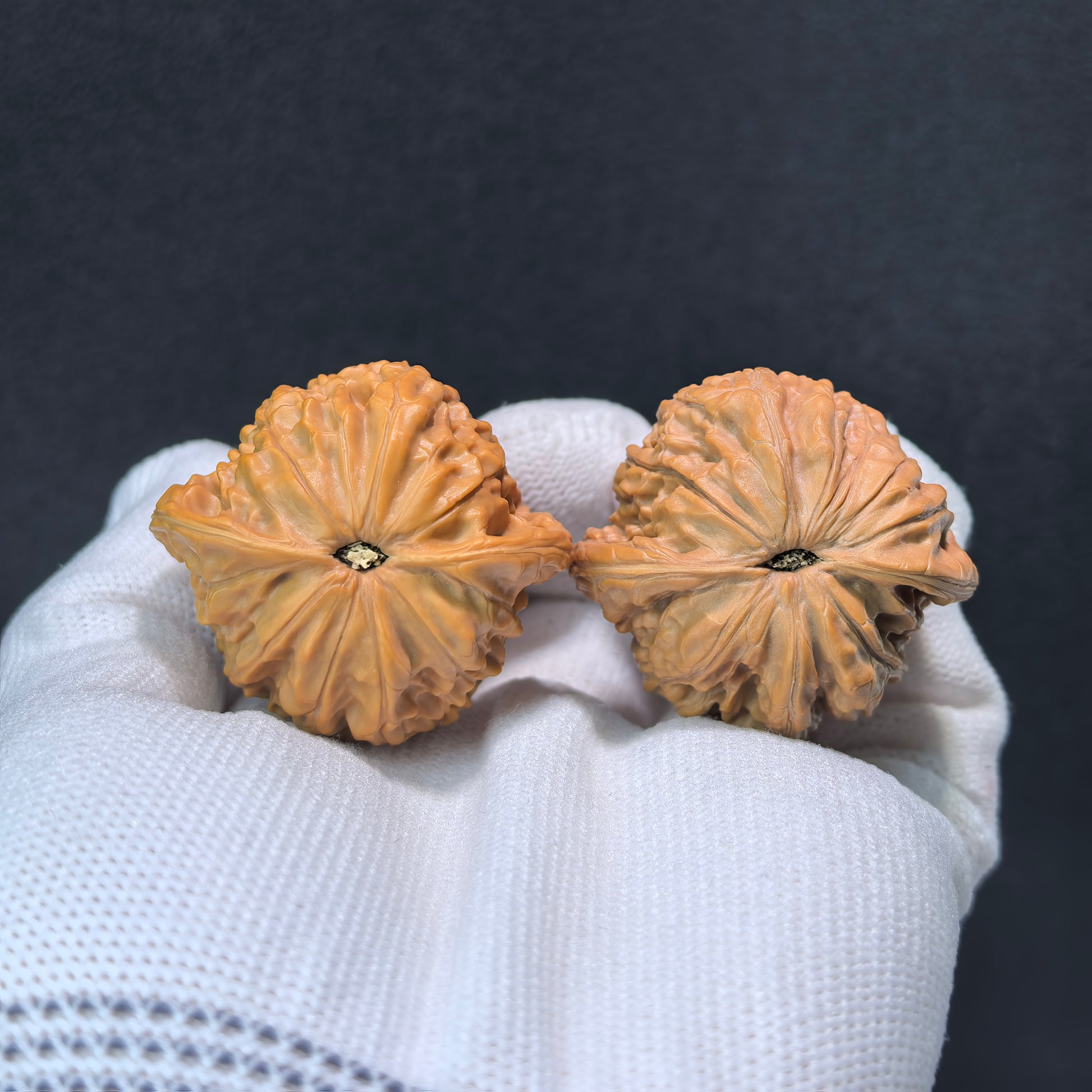 Pair of Small True Millstone Walnut Hand Exercisers by ThePatinaProject, 38mm x 30mm, showing textured walnut surfaces for grip and rotation.