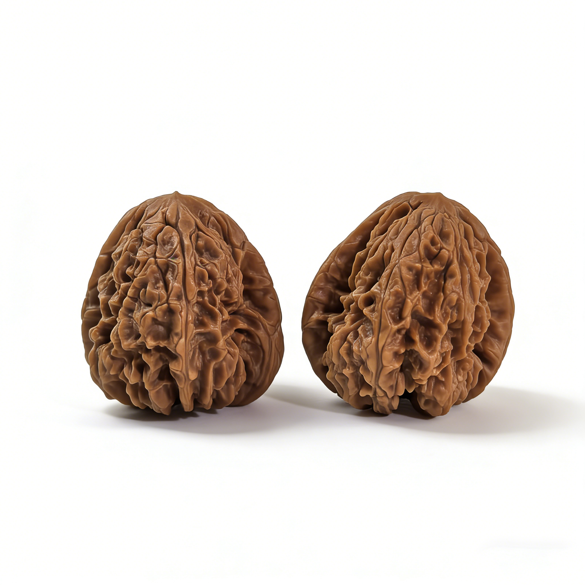 Walnut hand exerciser pair with aggressive fractal texture and 38mm diameter, designed for grip strength and tactile sensation.