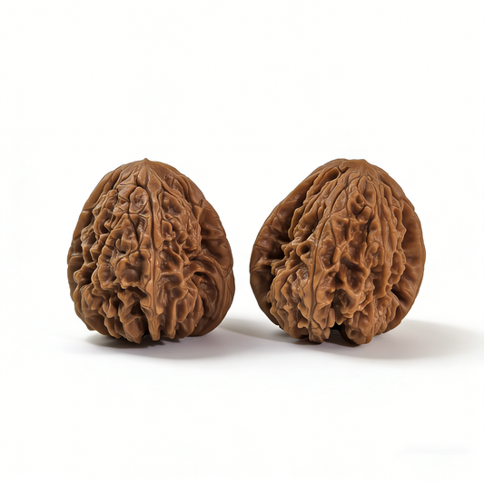 Walnut hand exerciser pair with aggressive fractal texture and 38mm diameter, designed for grip strength and tactile sensation.
