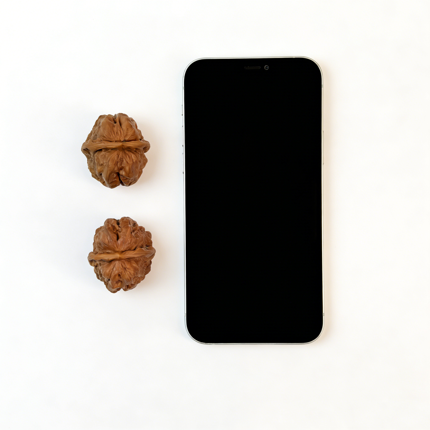 Walnut hand exerciser from ThePatinaProject's Toad Head Zen architecture collection, classic low-profile design, 35mm pair.