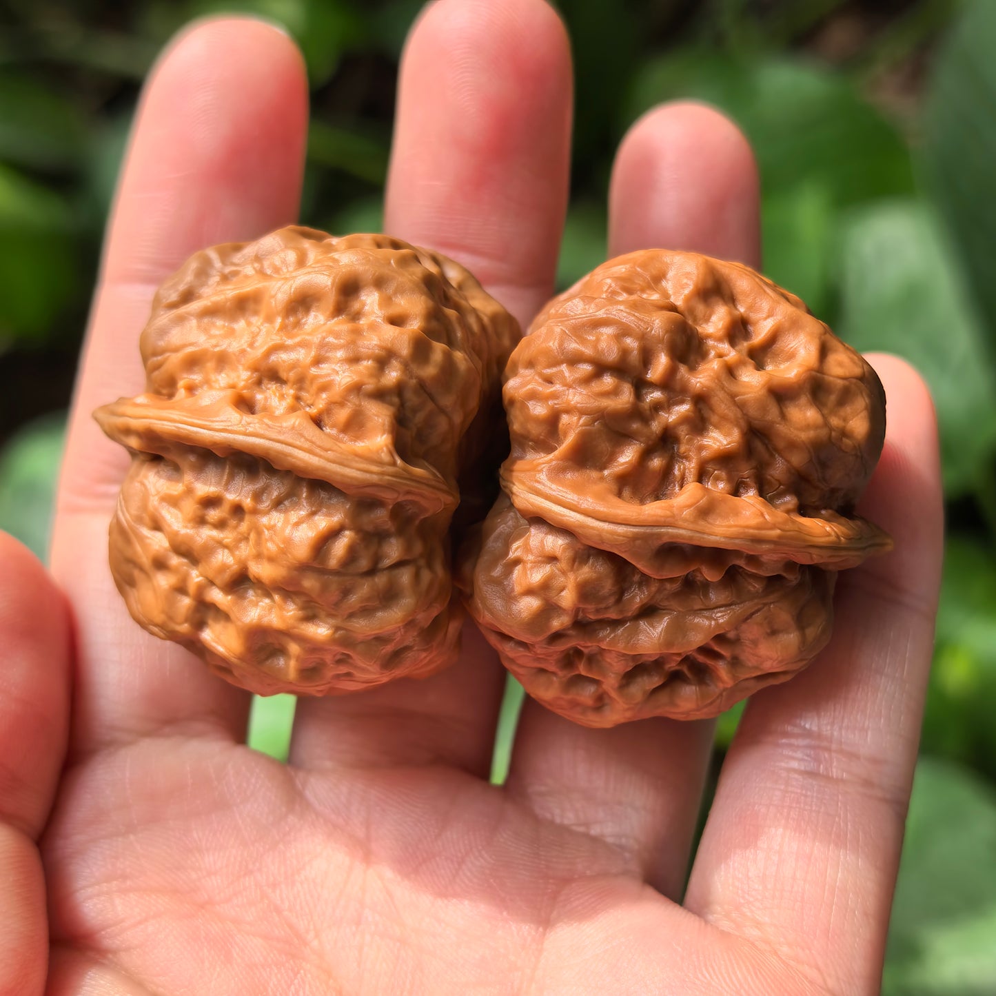 Walnut hand exercisers from ThePatinaProject's Toad Head classic low-profile Zen architecture collector’s pair, 35mm size, on a neutral background.