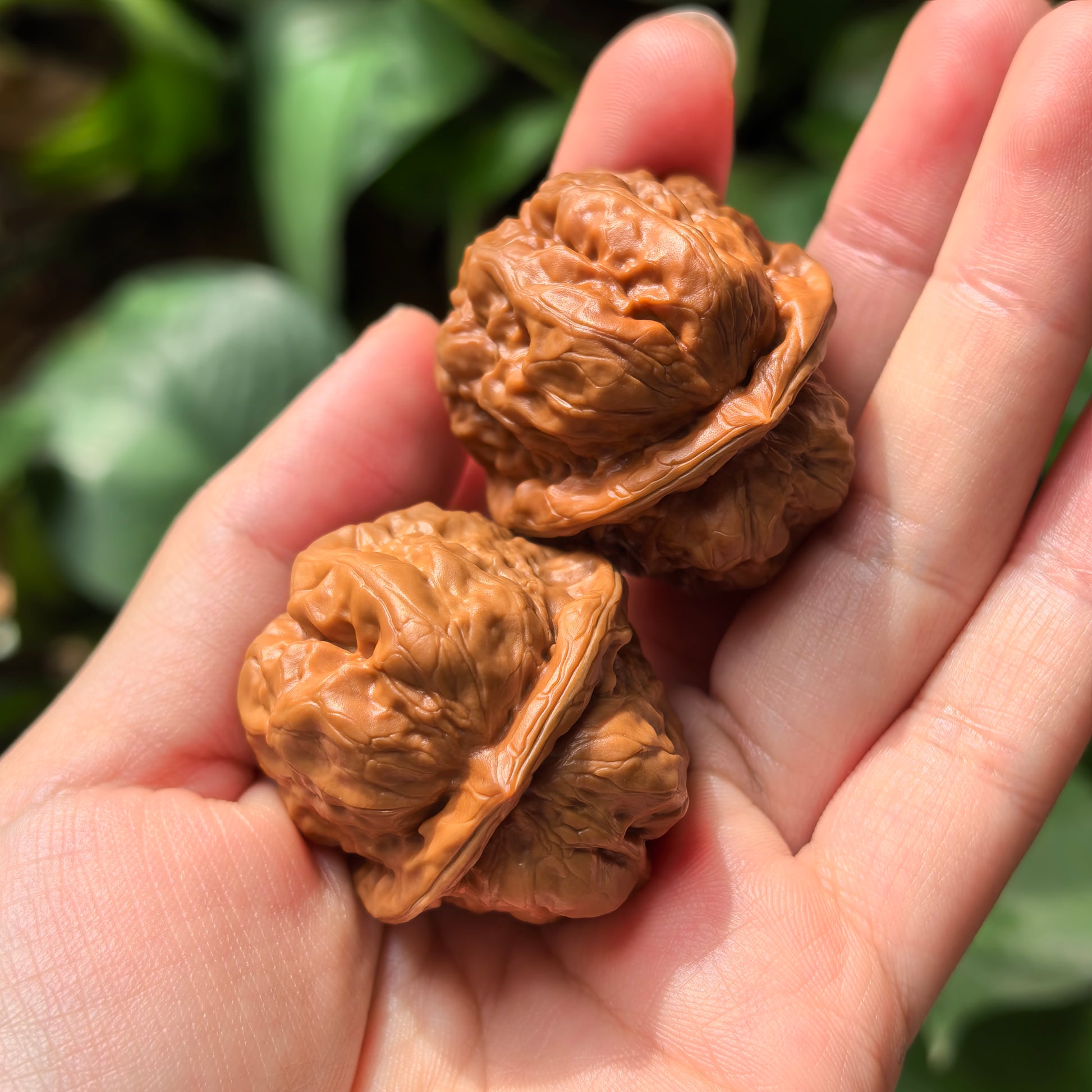 Walnut hand exercisers from ThePatinaProject's Toad Head collection, classic low-profile Zen architecture, 35mm collector’s pair.