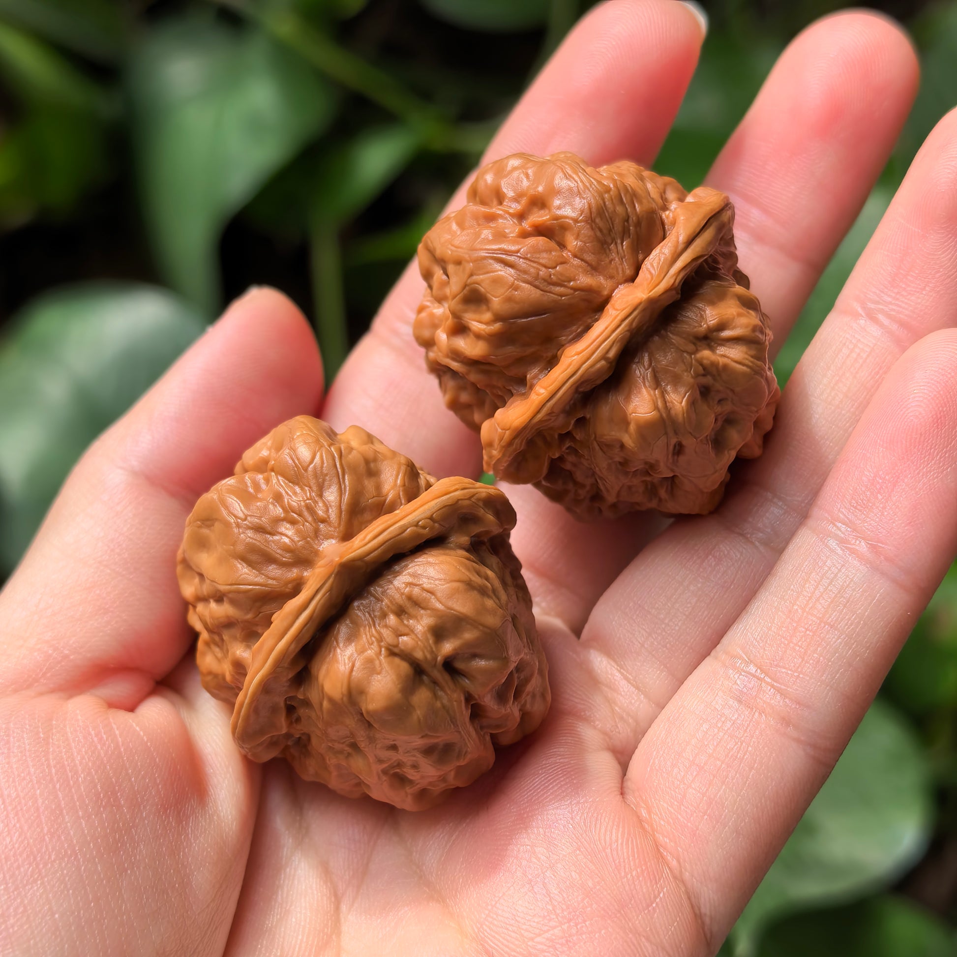 Walnut hand exercisers from ThePatinaProject's Toad Head collection, classic low-profile Zen architecture, 35mm collector’s pair.