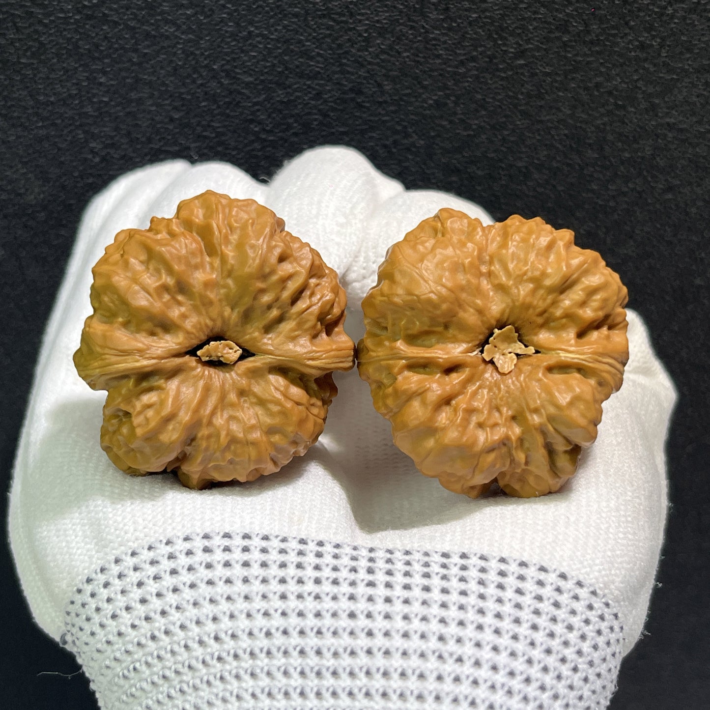 Pair of Walnut Hand Exercisers with "Toad Head" design, 36mm x 39mm, from ThePatinaProject, HMT-405, displayed on a white background