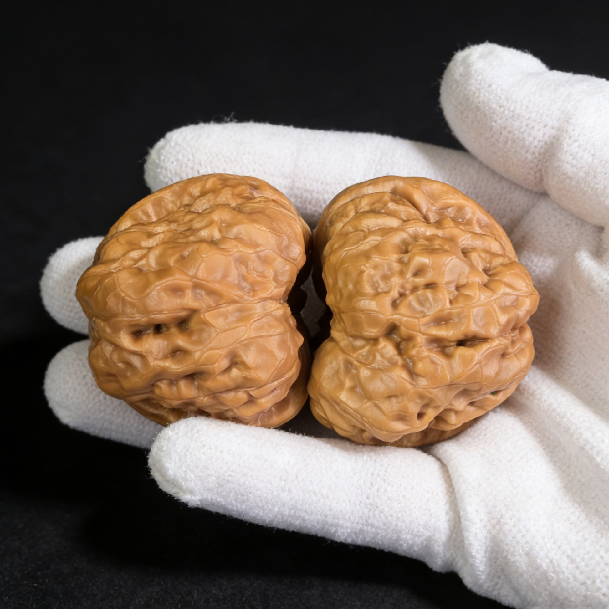 Pair of walnut hand exercisers featuring the "Toad Head" design by ThePatinaProject, collector grade, 43mm x 42mm, HMT-401C.