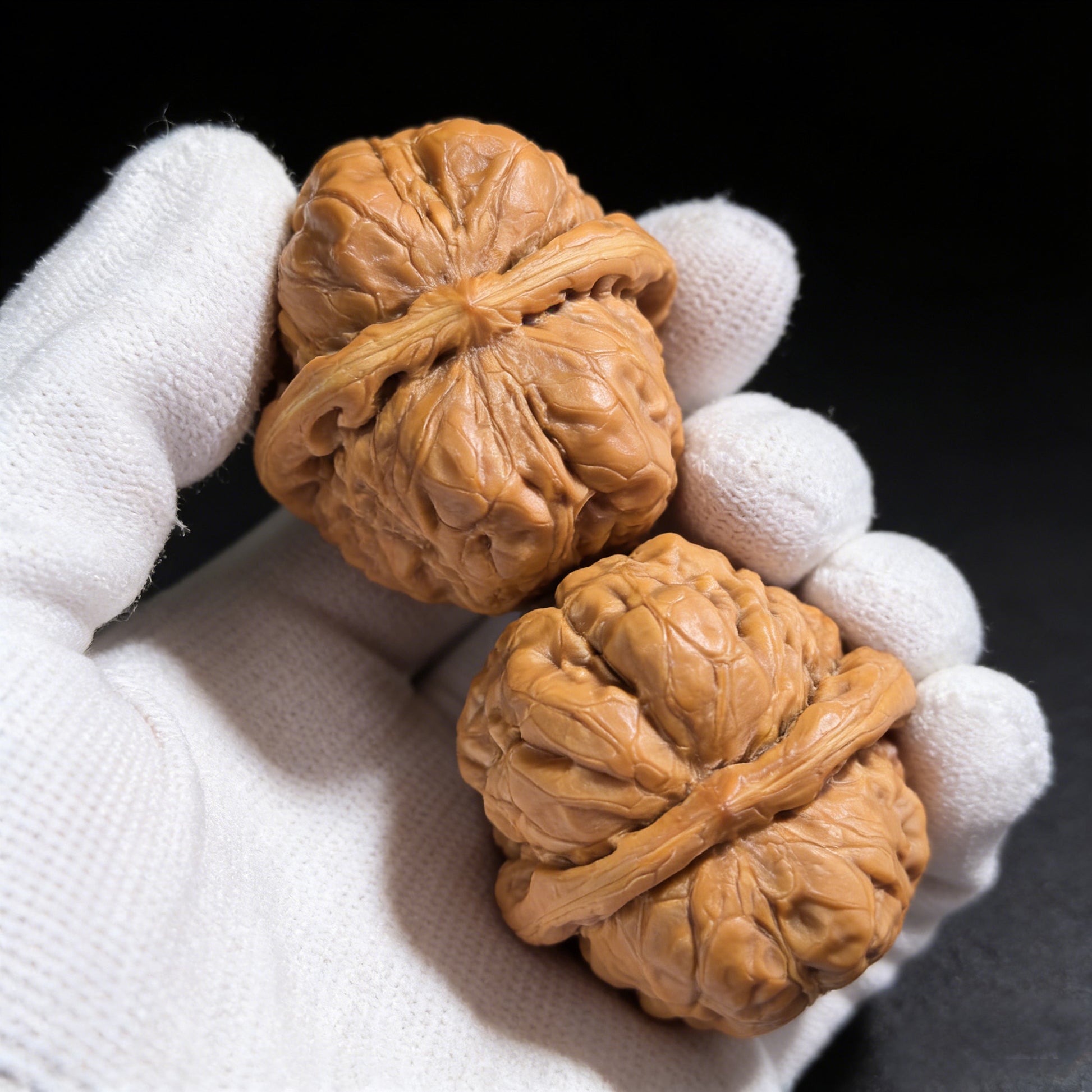 Pair of walnut hand exercisers called "Toad Head" from ThePatinaProject, collector grade, 43mm by 42mm size, HMT-401C.