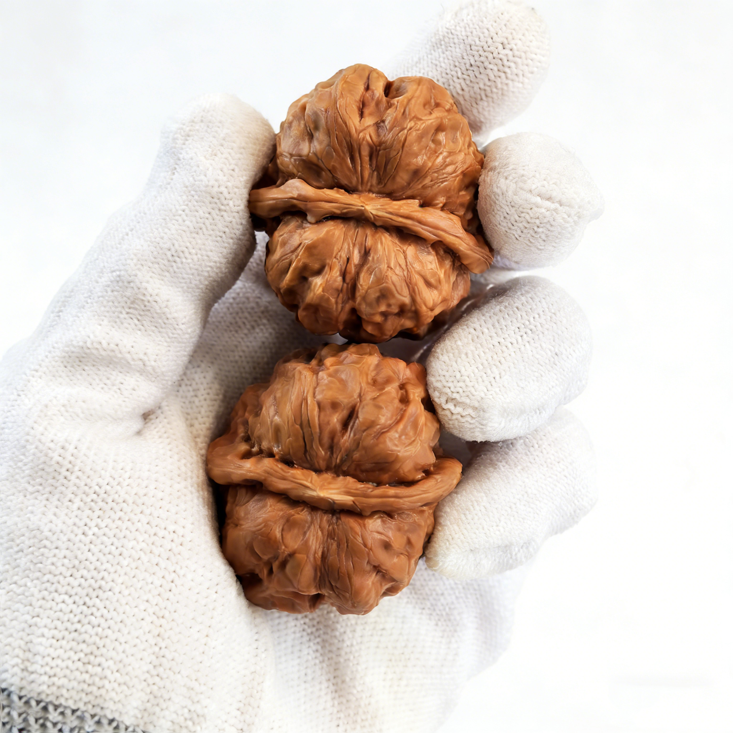 Pair of walnut hand exercisers featuring the "Toad Head" silhouette with rugged ancient texture, 39mm size from ThePatinaProject.