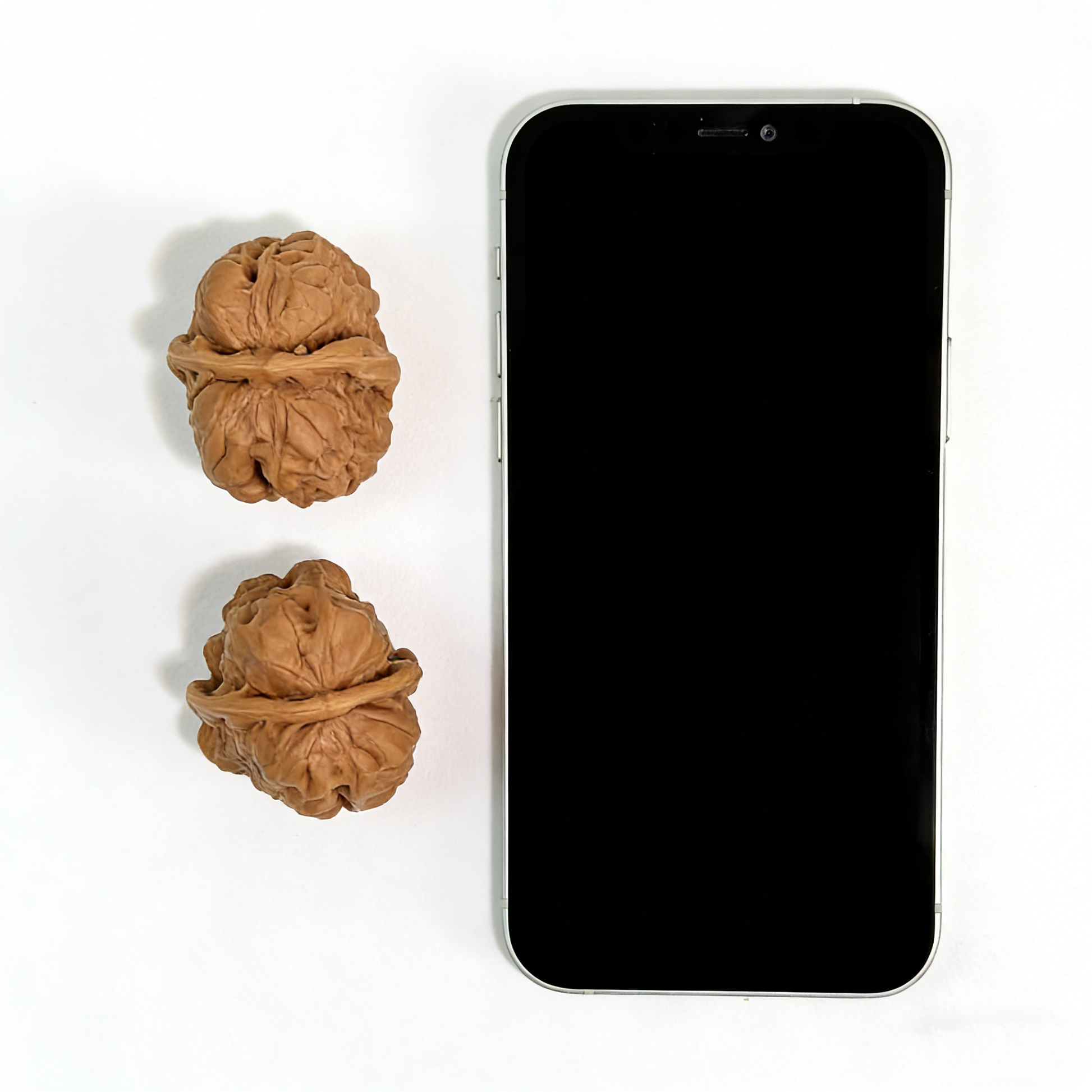 Pair of walnut hand exercisers with textured skin design, titled "Toad Head" by ThePatinaProject, 35mm collector’s size.