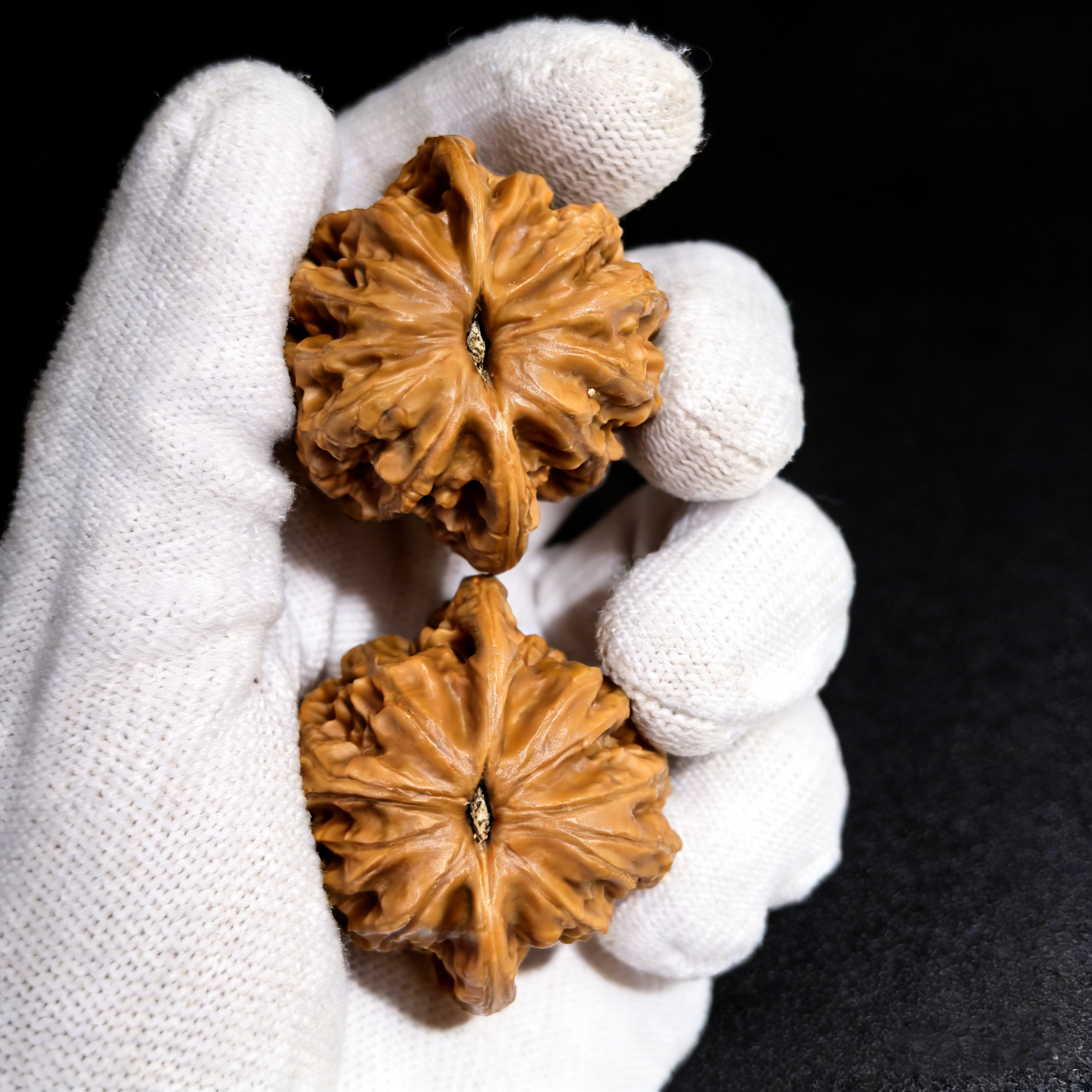 Walnut hand exercisers with vintage lion head design from ThePatinaProject, 39mm heritage pair, featuring old style craftsmanship.