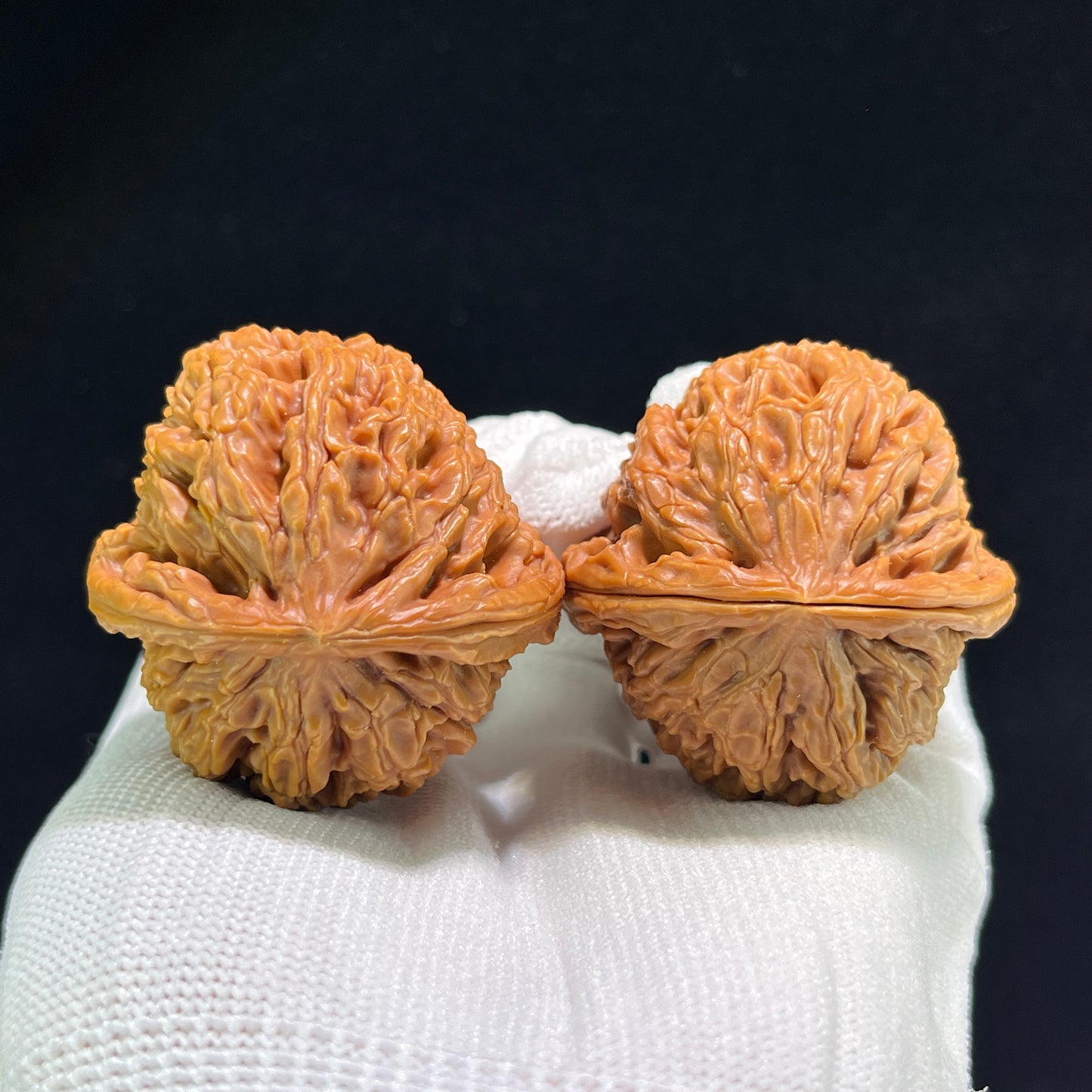Pair of Walnut Water Dragon hand exercisers by ThePatinaProject, boutique grade, 42mm x 43mm, featuring intricate dragon design.