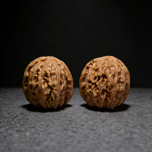 Pair of White Lion Walnut Hand Exercisers by ThePatinaProject, 36mm x 33mm, showing smooth, polished walnut wood grips.