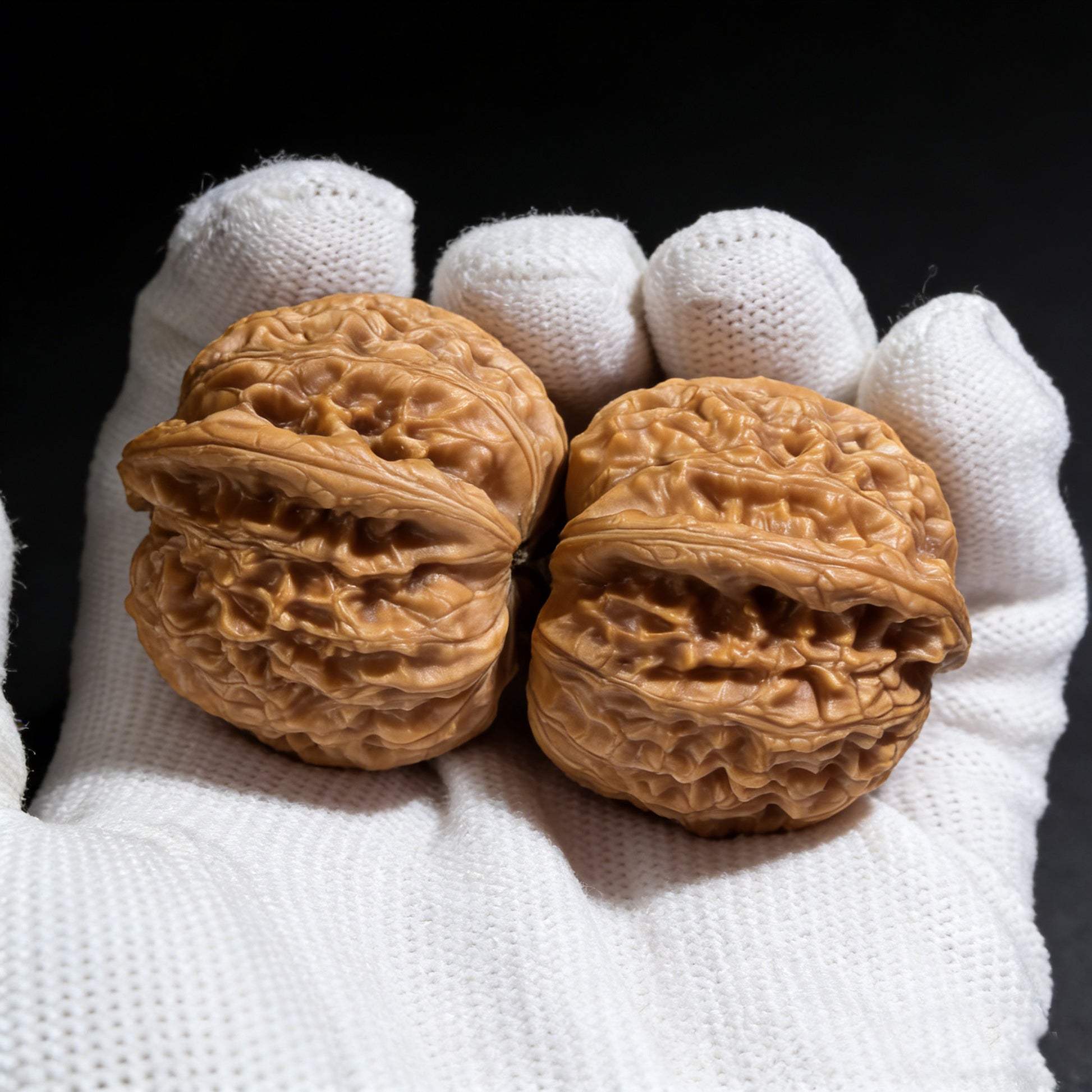 Pair of White Lion Walnut Hand Exercisers by ThePatinaProject, 36mm x 33mm, showing smooth wooden texture and ergonomic design.