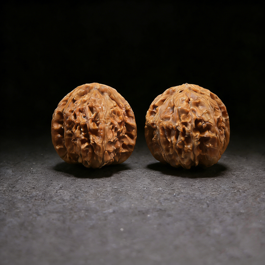 Pair of 40mm Walnut Hand Exercisers called White Lion Orb (Qiu Bai) from ThePatinaProject, perfectly round with smooth finish.