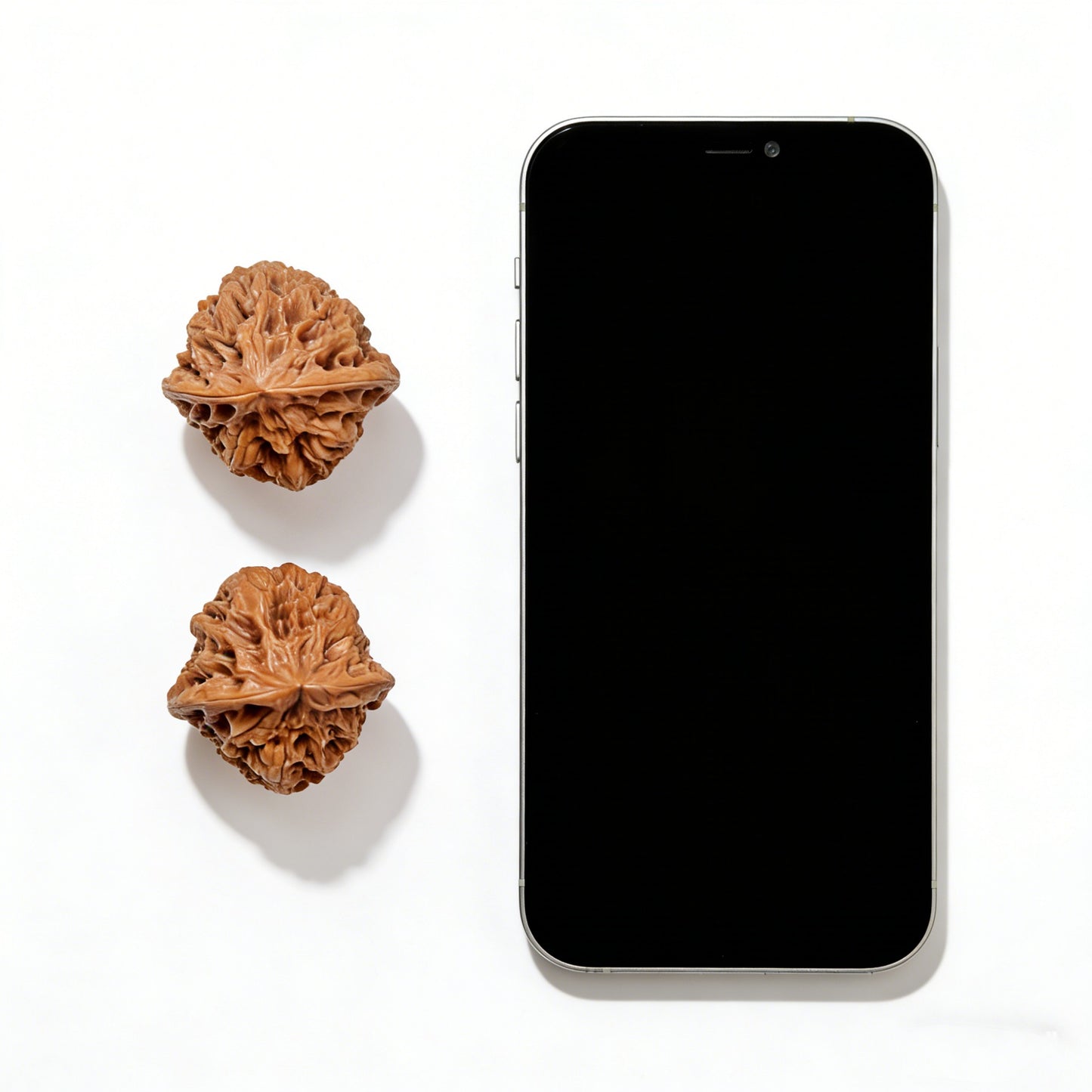 Pair of Wild Bull Lion Head walnut hand exercisers from ThePatinaProject, featuring detailed lion head designs, 35mm size.