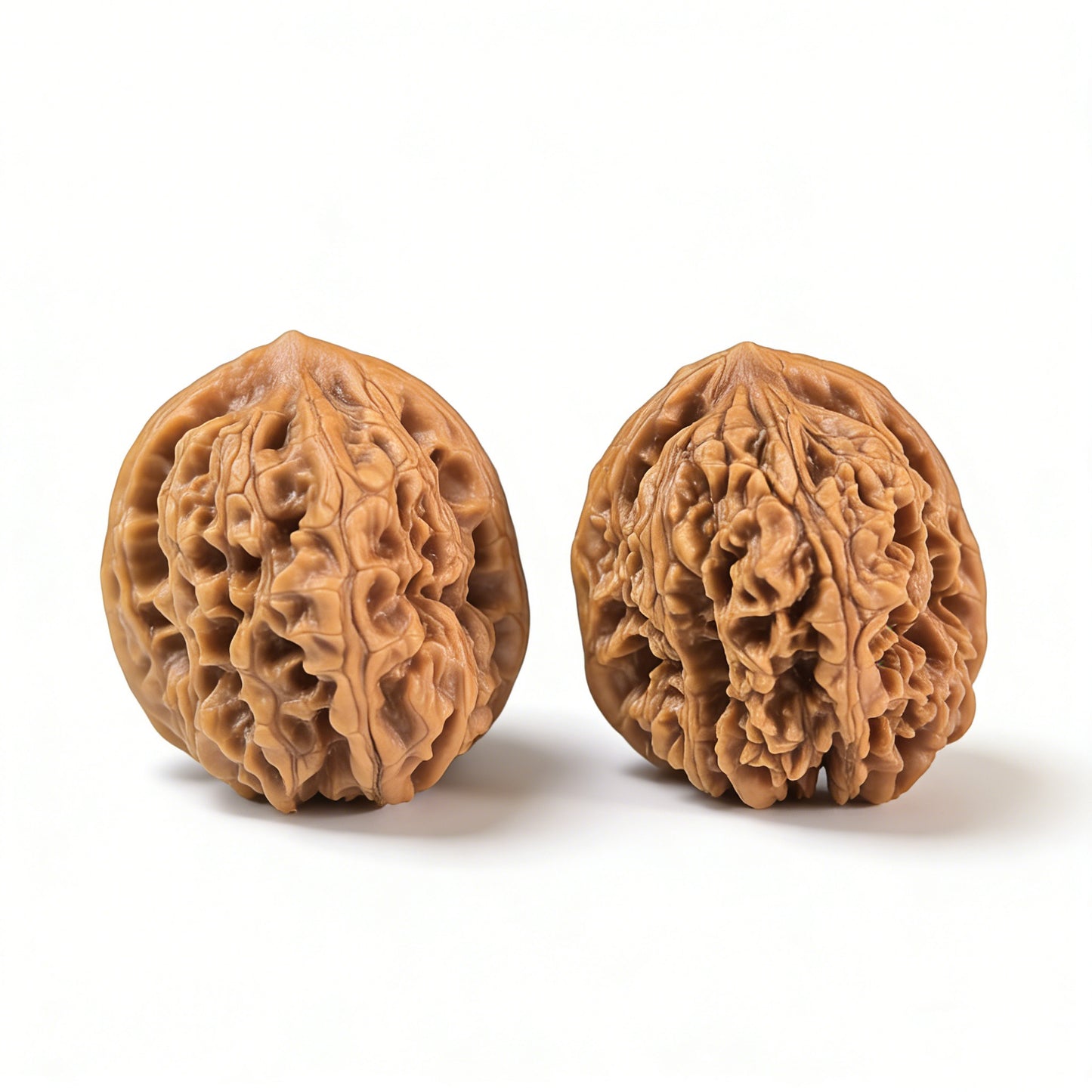 Pair of Wild Caterpillar Walnut Hand Exercisers from ThePatinaProject, 30mm x 30mm, featuring detailed walnut texture for grip and stress relief.
