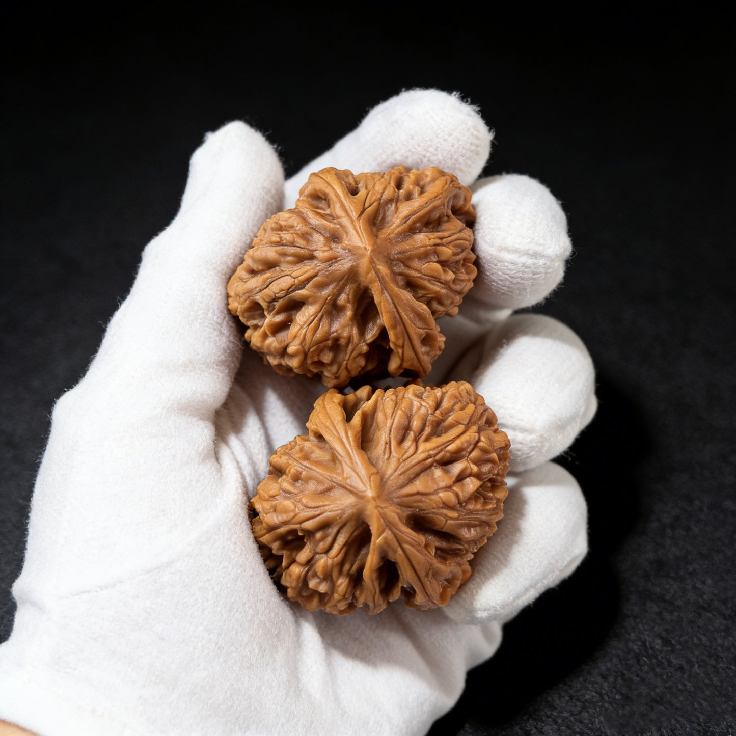 Pair of Wild Caterpillar walnut hand exercisers from ThePatinaProject, 30mm x 30mm, featuring textured carved details.