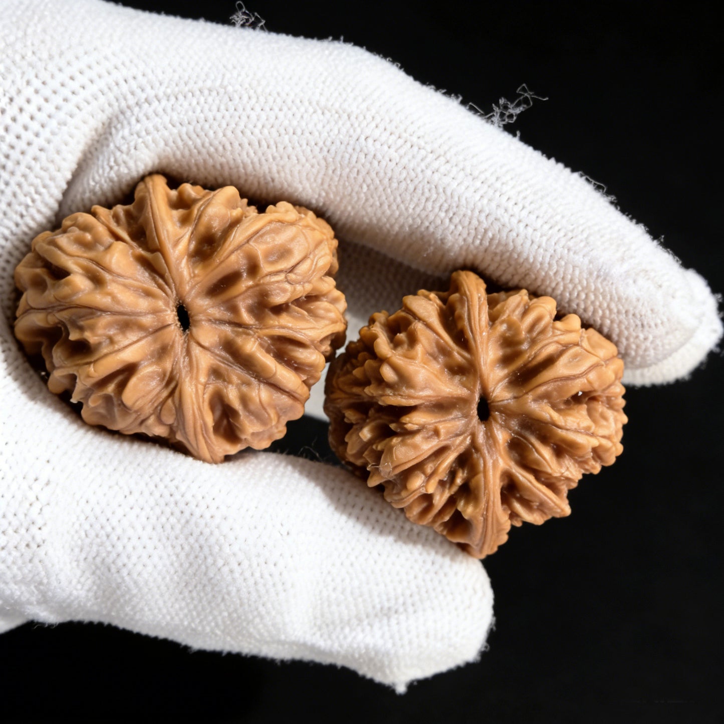 Walnut hand exerciser pair called Wild Caterpillar by ThePatinaProject, 30mm diameter, black wooden grip for grip strength training.