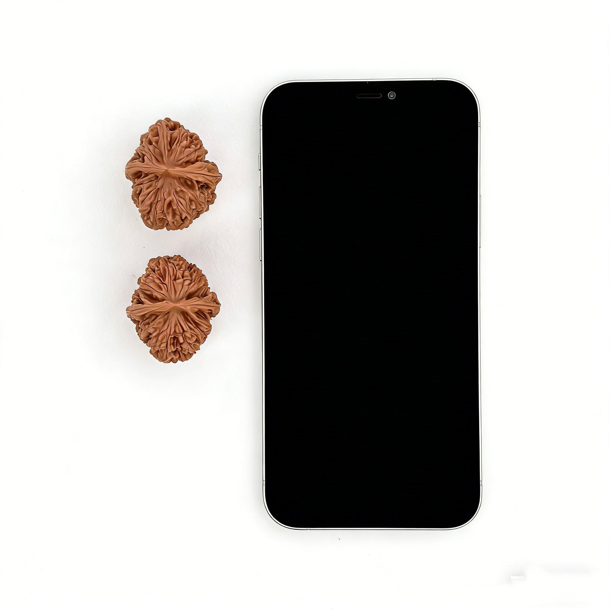 Pair of Wild Caterpillar Walnut Hand Exercisers by ThePatinaProject, 30mm x 30mm, showing textured walnut surfaces for hand strengthening.