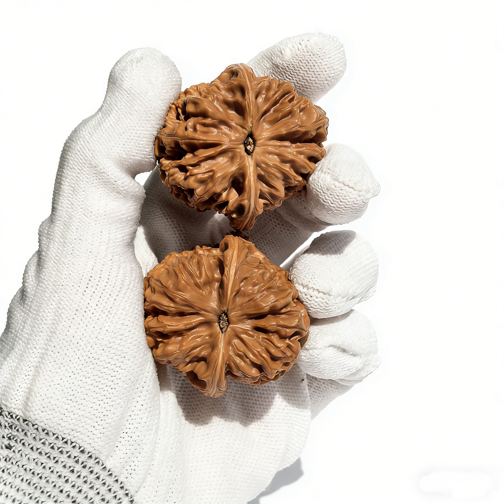 Pair of Wild Donkey-Roll Walnut hand exercisers from ThePatinaProject, 41mm natural textured wild-harvested walnut for grip strength.