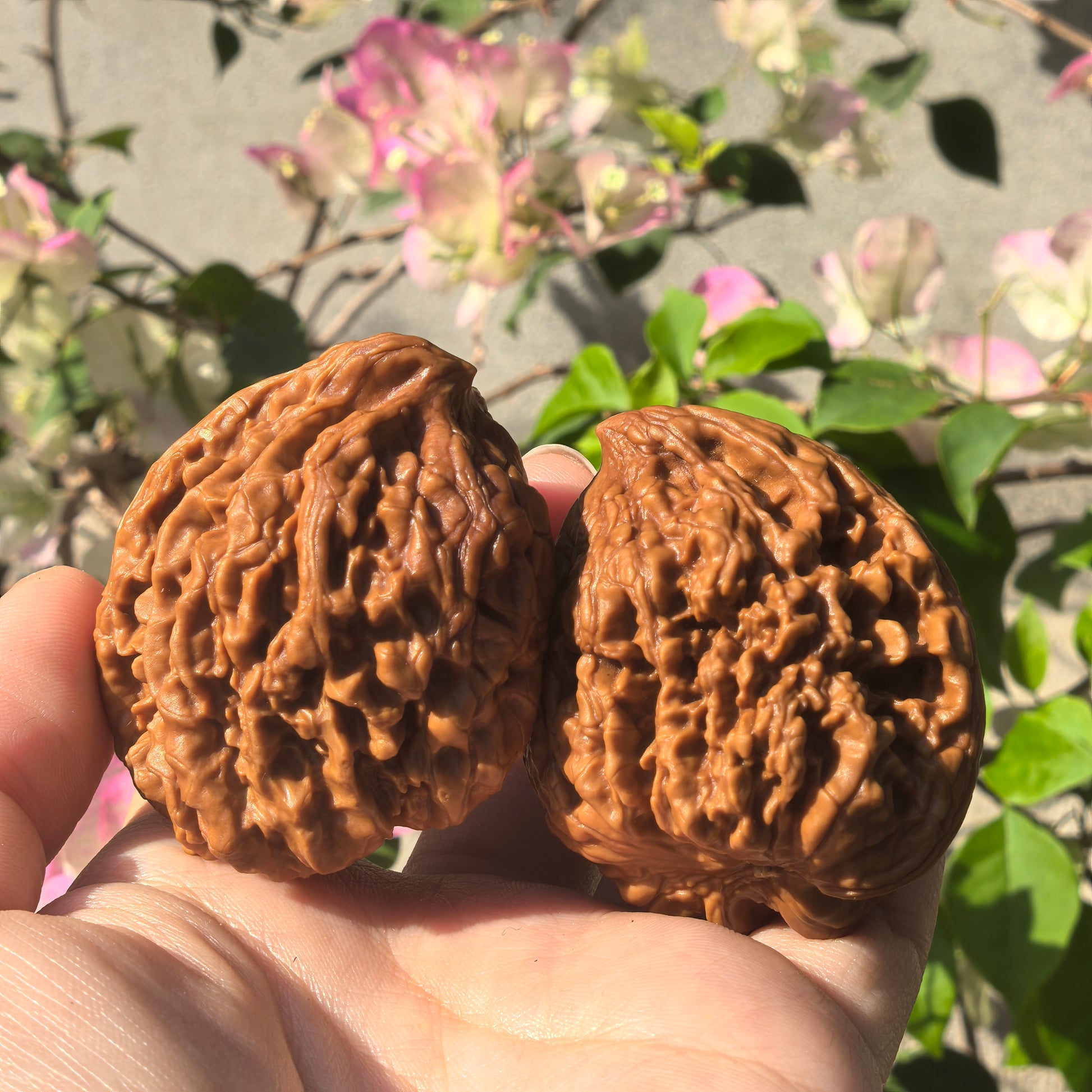 Walnut hand exercisers by ThePatinaProject, "Mountain Eagle" Guan Mao pair, boutique grade, 40mm x 38mm size, smooth finish.