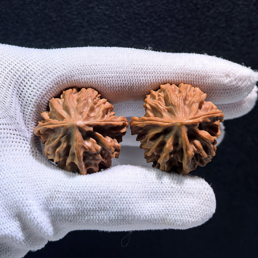 Walnut hand exerciser from ThePatinaProject, T-Shaped "Qi Shan" three-ridge pair, boutique grade, 30mm x 30mm, model QS-301.