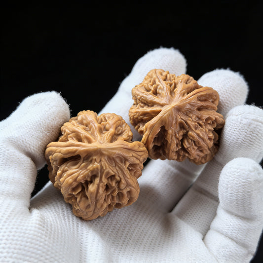 Walnut hand exercisers from ThePatinaProject featuring fine rugged vein texture, 34x38mm, collector grade, for hand strengthening.