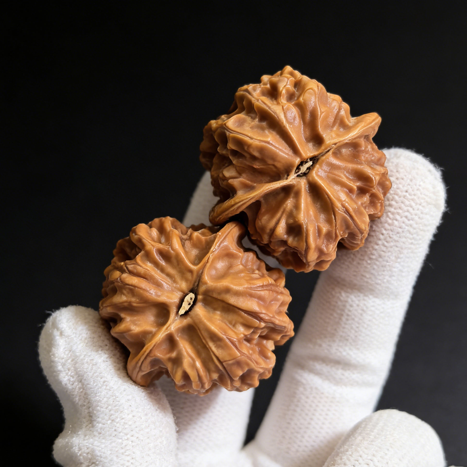 Pair of Xinglong Shaozi walnut hand exercisers, 35mm size, from ThePatinaProject, with smooth wooden surface and ergonomic shape.