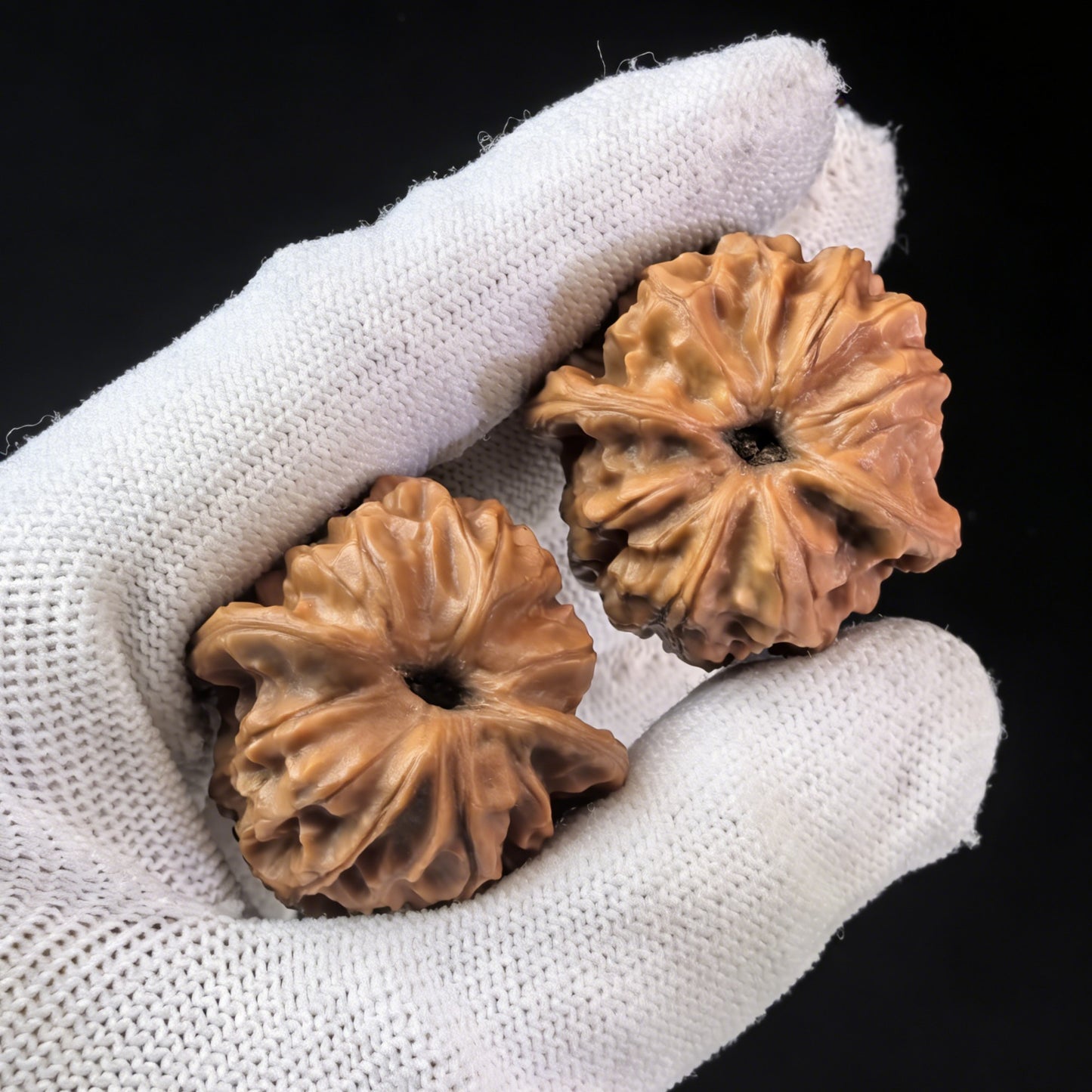 Walnut hand exerciser from ThePatinaProject's Ye Sheng Wild Growth series, 32mm YS-01 for grip strengthening and hand fitness