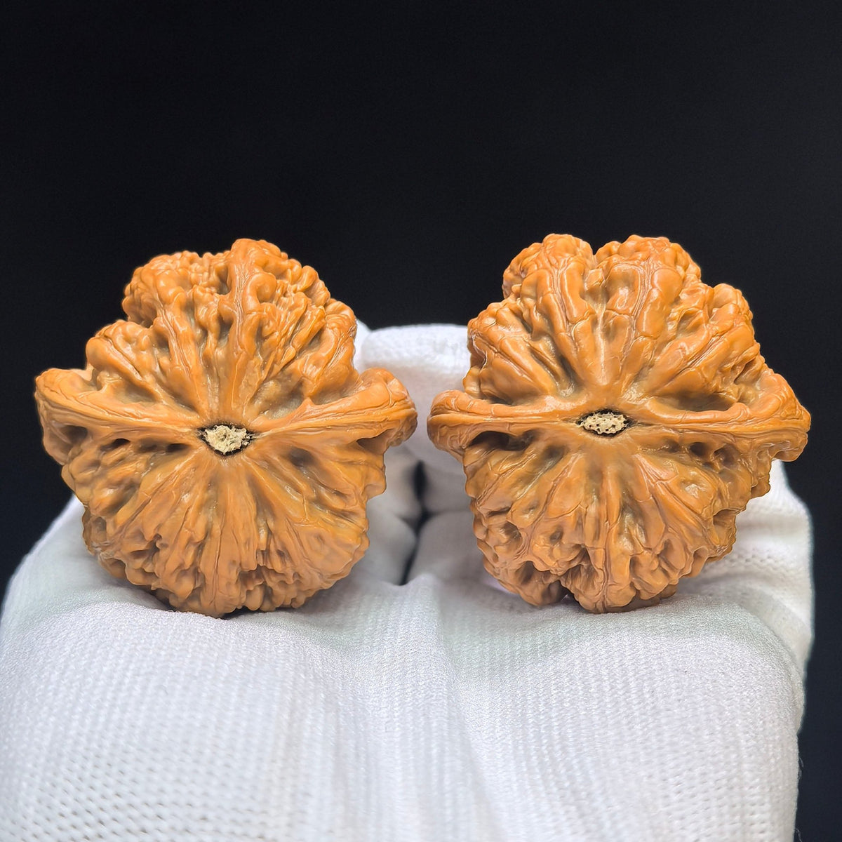 "Thick Ridge" Cujin Wenwan Walnuts Pair | 44.0mm x 44.0mm | CJ-101SY - ThePatinaProject
